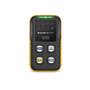 BW Technologies BW Icon+ Multi-Gas Detector, H2S CO  Black