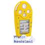 BW Technologies Gas Alert Micro 5 PID