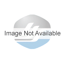 BW Technologies Single Gas SO2 (20 ppm)