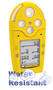 BW Technologies Gas Alert Micro 5 PID