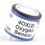 BW Technologies Replacement Oxygen (O2) Sensor