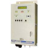 RKI Instruments RI-257 Stand Alone Monitor (Specify Gas) - RI-257-XXX