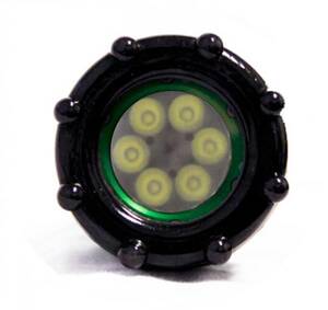 Western Technology 6 LED Blast Light, 100ft 16/2 EC Green with 71215 Connector (2 Pole Round) - 3475-80/100 16.2 WP