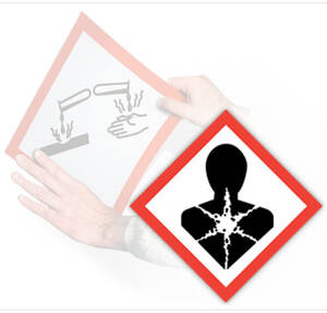 GHS Health Hazard Pictogram Placard (10.75" x 10.75") - GHS1271